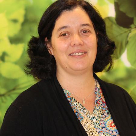 Sara Costa Professora 1º Ciclo